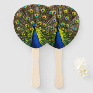 Colorful peacock fächer