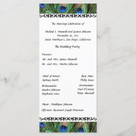 Colorful Peacock Feather Wedding Program Programm