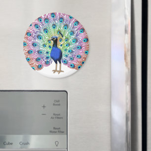 Colorful Peacock Magnet