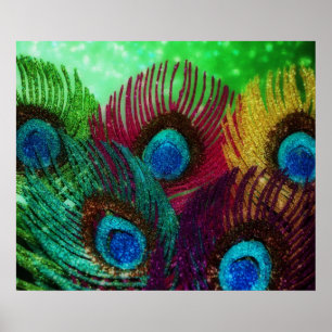 Colorful Peacock Poster