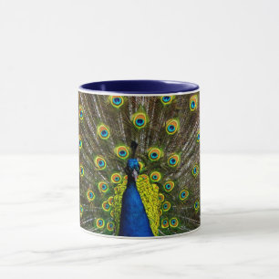 Colorful peacock tasse
