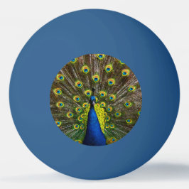 Colorful peacock tischtennisball