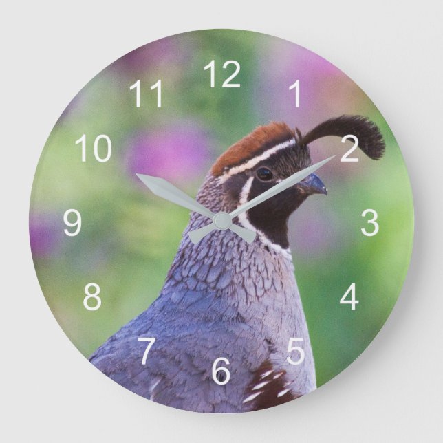 Colorful Quail Große Wanduhr (Vorderseite)