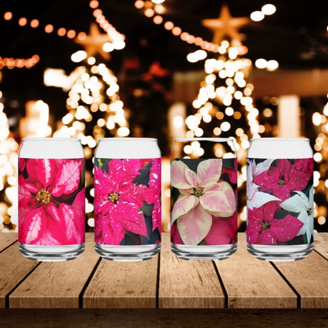 Colorful Seasonal Holiday Poinsettias Dosenglas (In Situ Holidays)