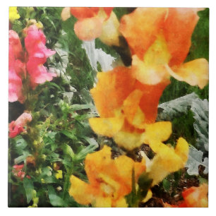 Colorful Snapdragons Fliese