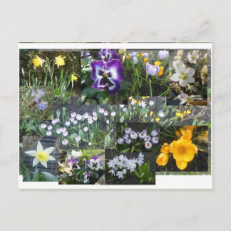 Colorful Spring Flowers Collage DIY Postcard Feiertagspostkarte