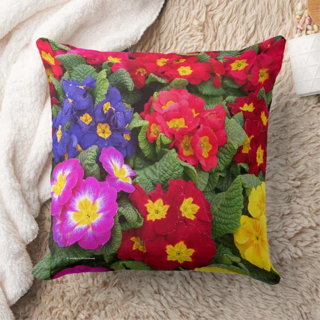 Colorful Springtime Medley of Primulas Kissen (Decke)