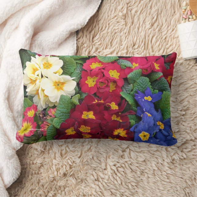 Colorful Springtime Medley of Primulas Lendenkissen (Decke)