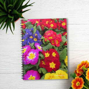 Colorful Springtime Medley of Primulas Notizblock