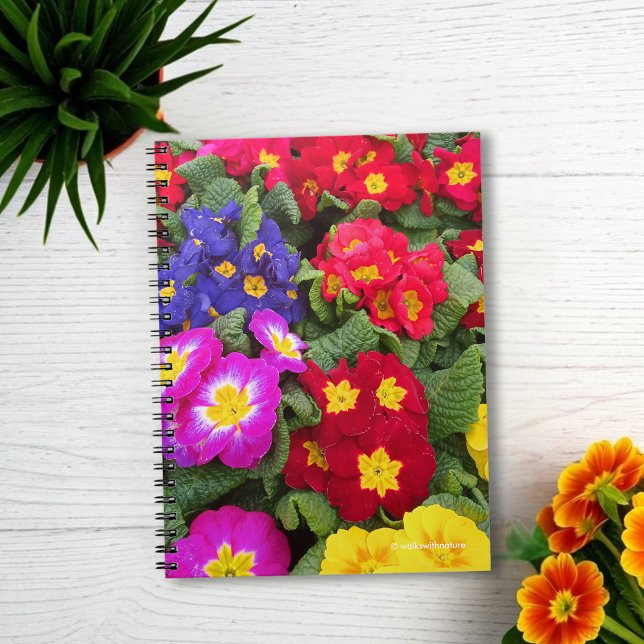 Colorful Springtime Medley of Primulas Notizblock (Colorful Springtime Medley of Primulas Journal Cover Photo)