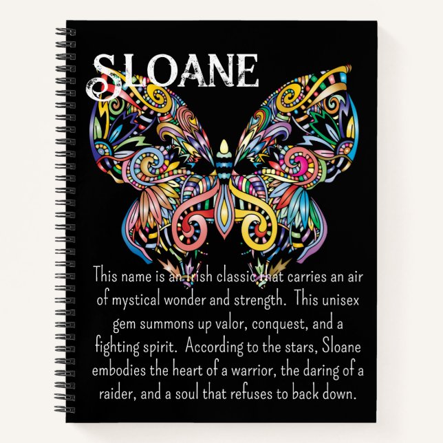 Colorful Steampunk Butterfly Journal Notizbuch (Vorderseite)