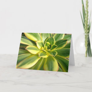 Colorful Succulent #2 Note Card Karte