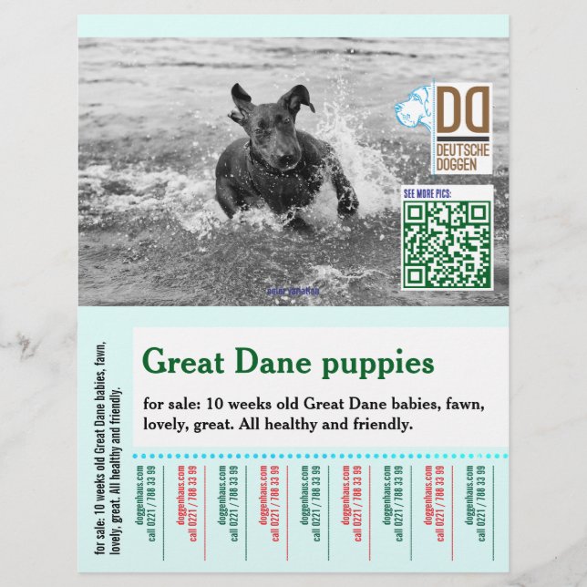 Colorful tear off dog flyer  (Vorne)