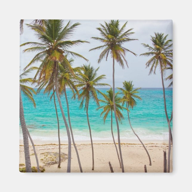 Colorful Tropical Beach Magnet (Vorne)