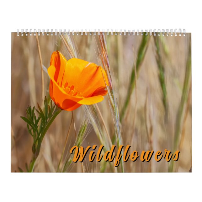 Colorful Wildflowers  Kalender (Titelbild)