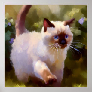 Colorpoint Kurzhaarkatze Poster