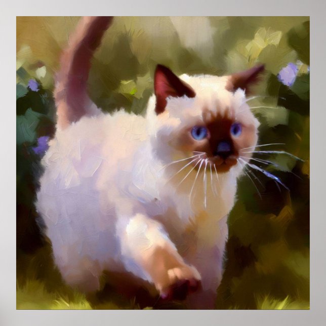 Colorpoint Kurzhaarkatze Poster (Vorne)