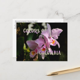 Colors Colombia Cattleya Orchid Postcard Postkarte