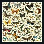 Colossal Butterfly Poster<br><div class="desc">Die Hintergrundfarbe kann geändert werden. Weiß oder eine helle pastellfarbene Farbe für einen schönen Effekt.</div>