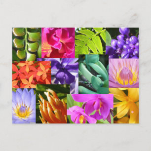 Colour Me Happy Postkarte