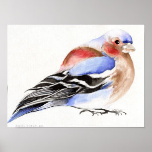 Colourful Chaffinch 2011 Poster