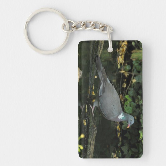 Columba palumbus schlüsselanhänger (Vorderseite)