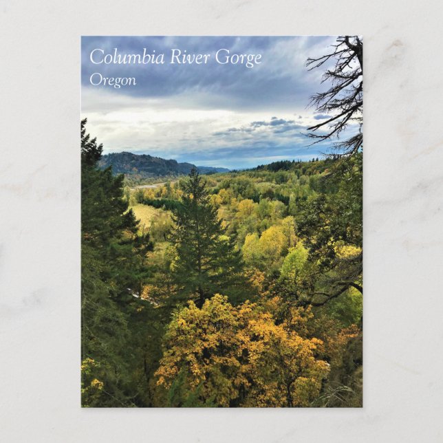 Columbia River Gorge, carte postale de l'Oregon (Devant)