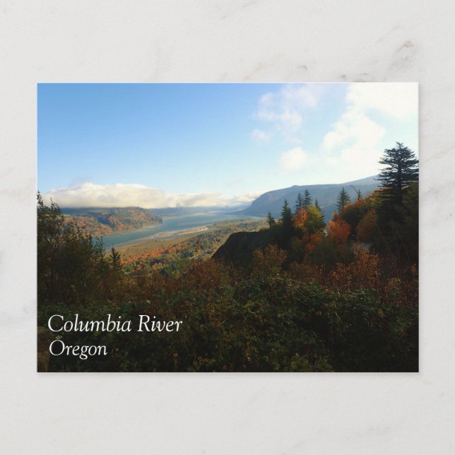 Columbia River Gorge im Herbst Postkarte (Vorderseite)