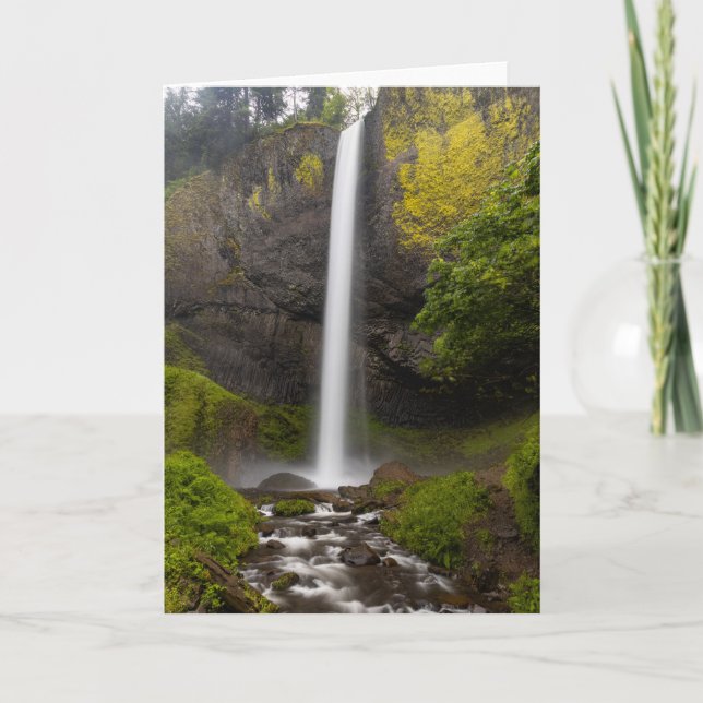 Columbia River Gorge Latourell Falls Greeting Card Dankeskarte (Vorderseite)