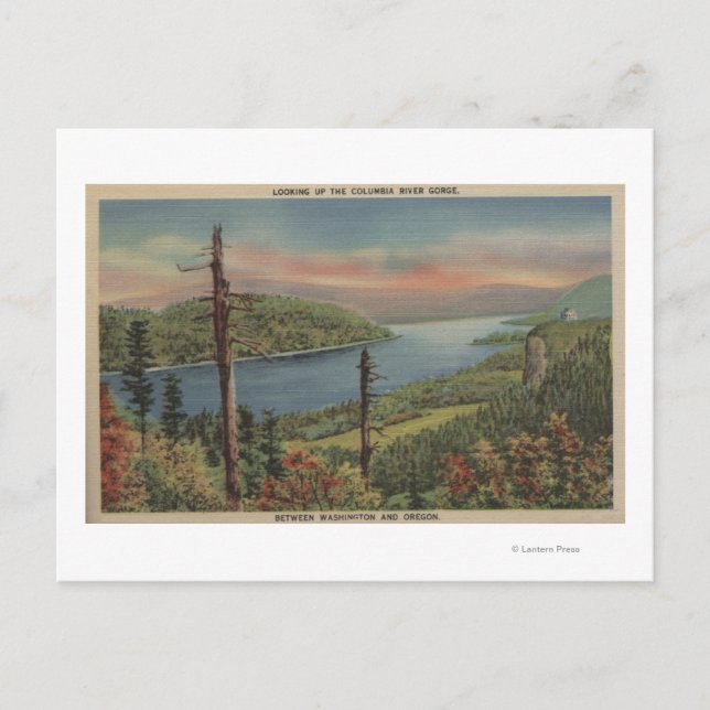 Columbia River Gorge Postkarte (Vorderseite)