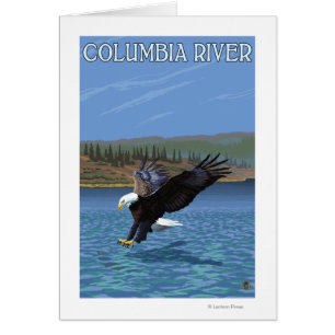 Columbia River, WashingtonEagle Diving