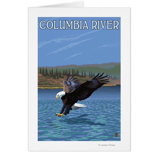 Columbia River, WashingtonEagle Diving (Vorne)
