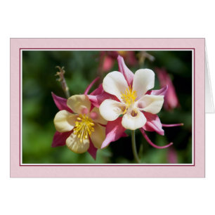 Columbine