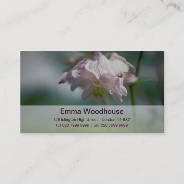 Columbine | Akelei Visitenkarte (Vorderseite)