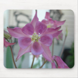 Columbine-Blume mousepad
