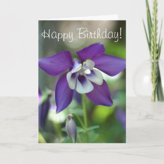 Columbine-Blumen-Foto Karte