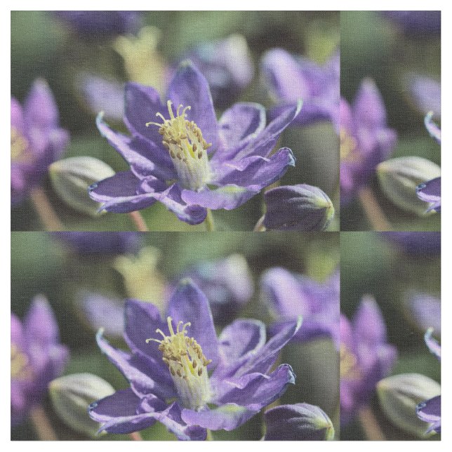 Columbine Fabric Stoff (Nahaufnahme)
