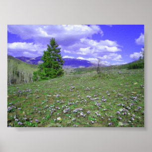 Columbine Hill Poster