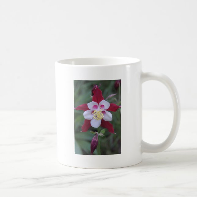 Columbine Kaffeetasse (Rechts)