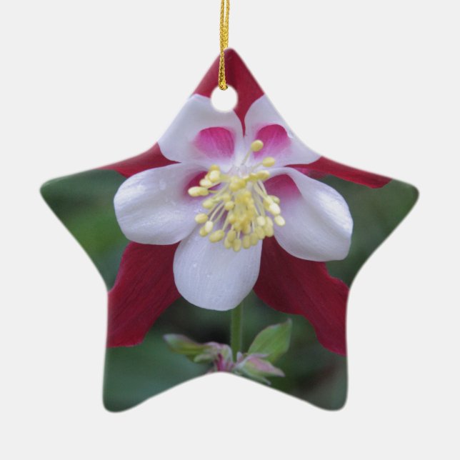 Columbine Keramikornament (Vorne)