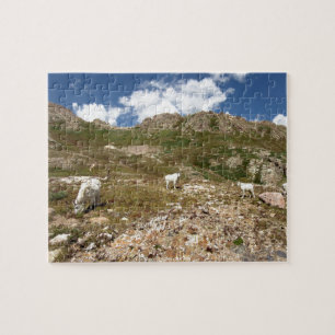 Columbine Lake Mountain Goats - Colorado