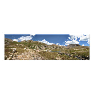 Columbine Lake Mountain Goats - Colorado Fotodruck