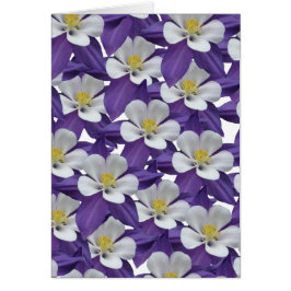 Columbine Purple et White Flower Card