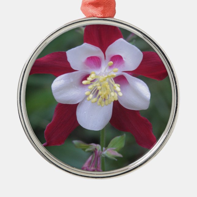 Columbine Silbernes Ornament (Vorne)