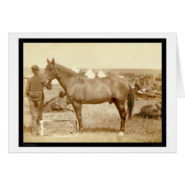 Comanche, Army Horse SD 1887 (Devant horizontal)