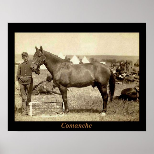 Comanche Poster (Vorne)