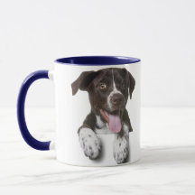 Combo-Kaffee-Tasse, Hund-Foto