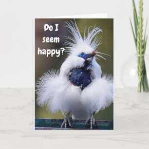 "COMEDIC BIRD" SAY U R TURNING 50 NICHT MIR! KARTE