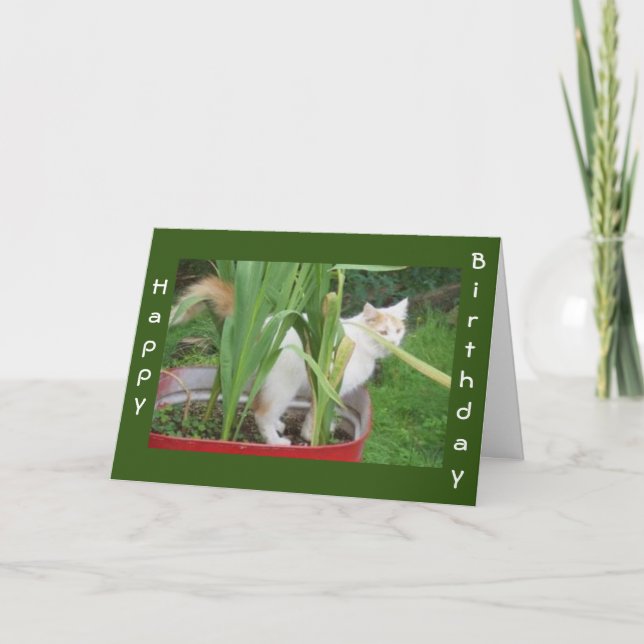 COMEDIC CAT HIDING, SAGT ABER "GLÜCKLICH GEBURTSTA KARTE (Vorderseite)