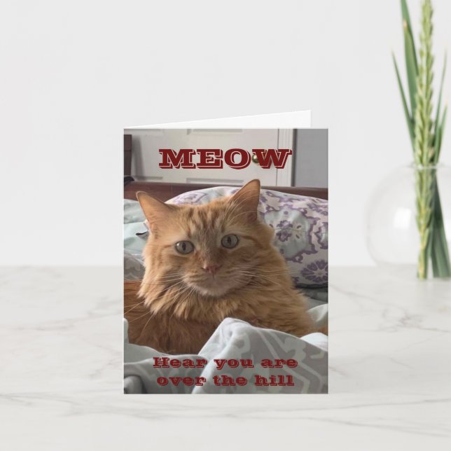 COMEDIC CAT SAGT GLÜCKLICH ÜBER DEM HÜGEL UM 40 KARTE (Vorderseite)